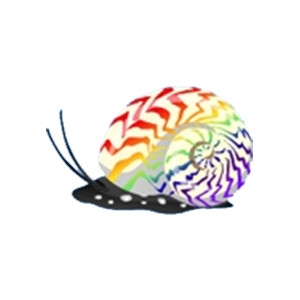 Rainbow Zebra Snail